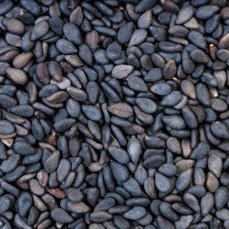 black sesame seeds close up